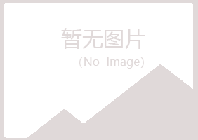 东港夏日咨询有限公司